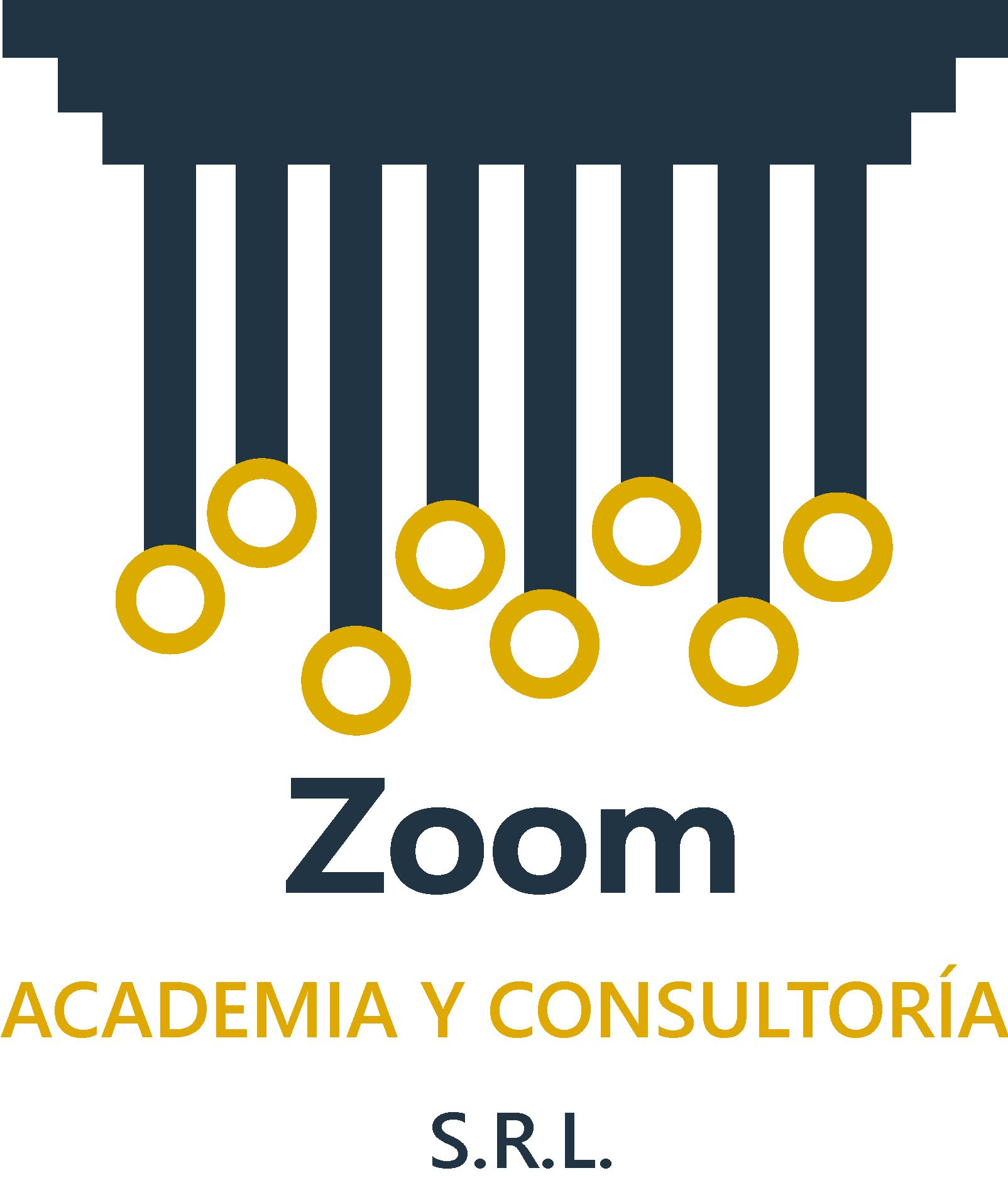 ZOOM Academia y Consultoria